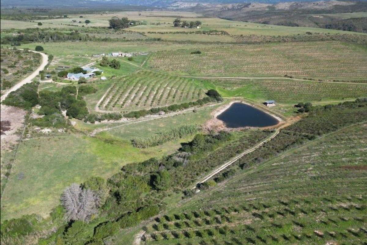 Farm For Sale in Riversdale Rural, Riversdale - Photo 5