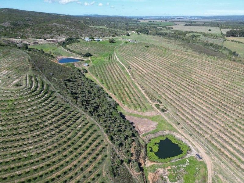 Farm For Sale in Riversdale Rural, Riversdale - Photo 10