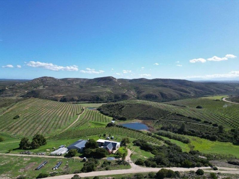 Farm For Sale in Riversdale Rural, Riversdale - Photo 3