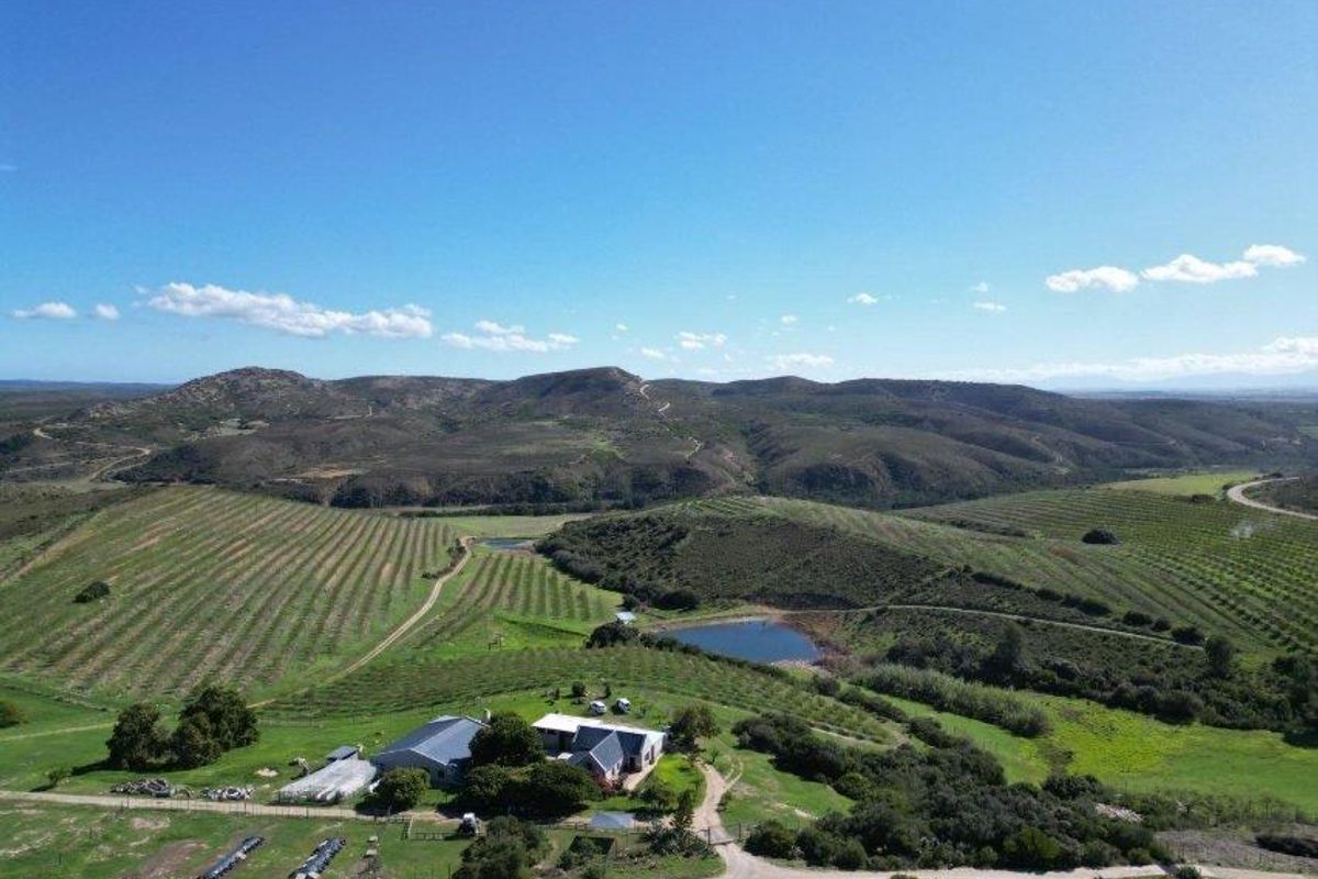 Farm For Sale in Riversdale Rural, Riversdale - Photo 3