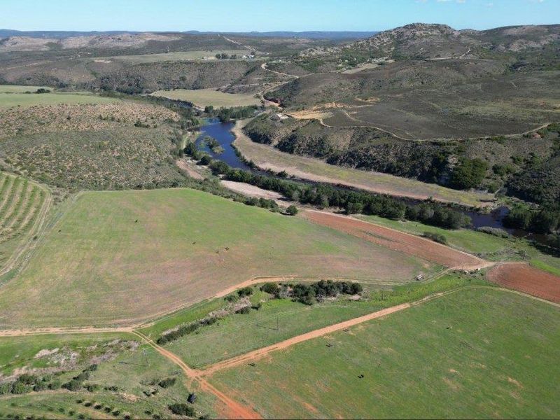 Farm For Sale in Riversdale Rural, Riversdale - Photo 8