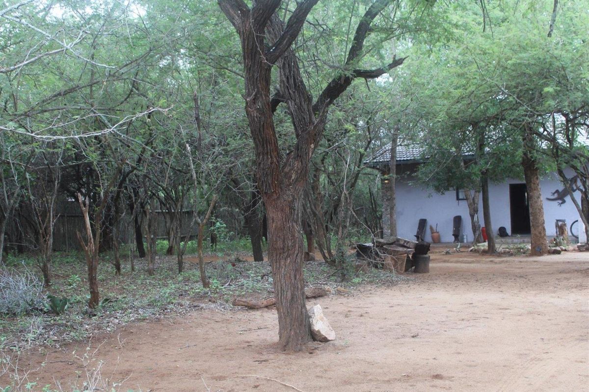 House For Sale in Marloth Park - Photo 5