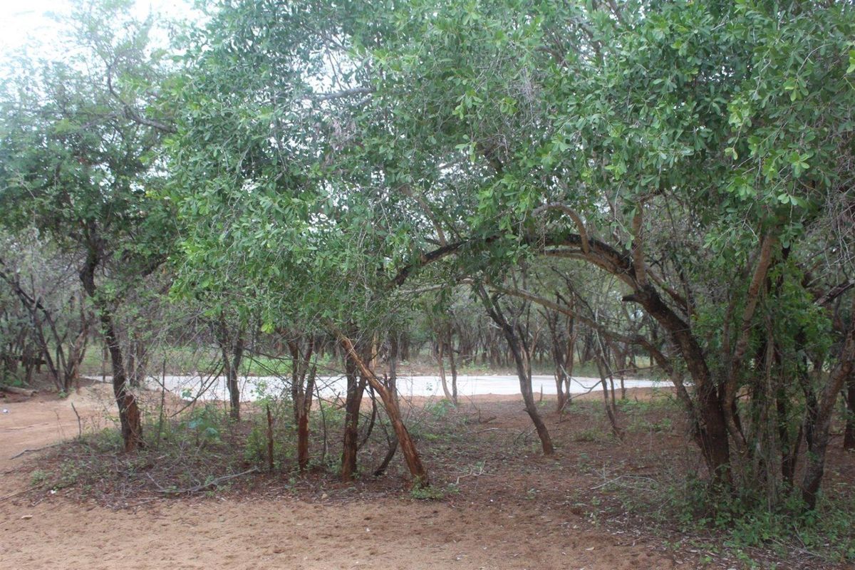 House For Sale in Marloth Park - Photo 3