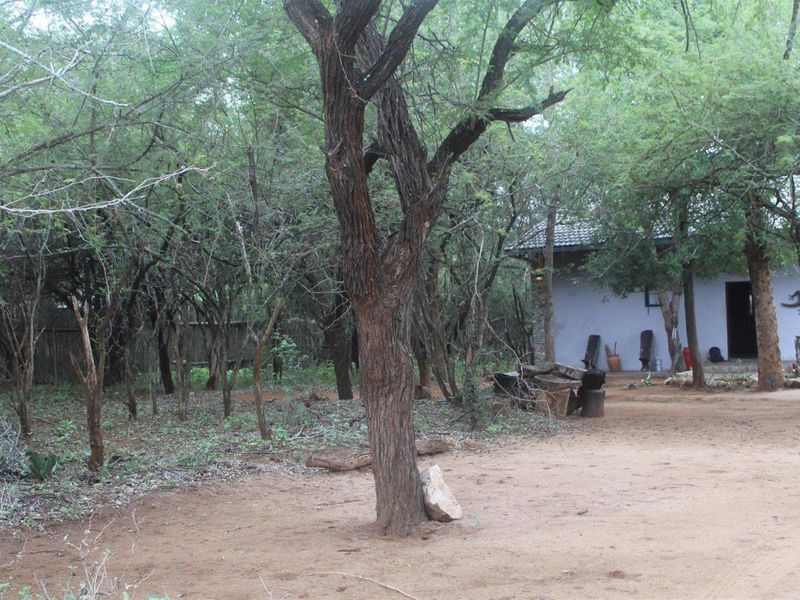 A natural, wooded garden setting featuring mature trees and a glimpse of the property's exterior structure with a tiled roof and stone detailing.