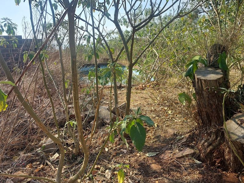 "Prime Development Land in Ambleton: 3.6 Hectares" - Photo 4