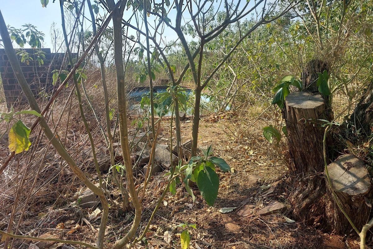 "Prime Development Land in Ambleton: 3.6 Hectares" - Photo 4