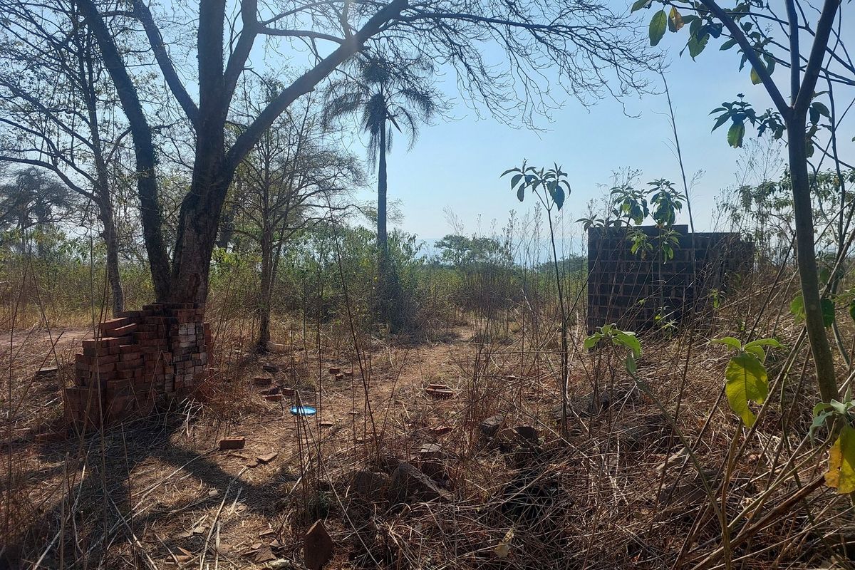 "Prime Development Land in Ambleton: 3.6 Hectares" - Photo 5