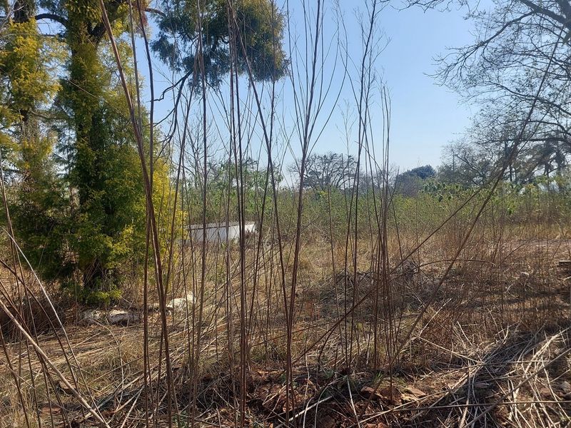 "Prime Development Land in Ambleton: 3.6 Hectares" - Photo 6