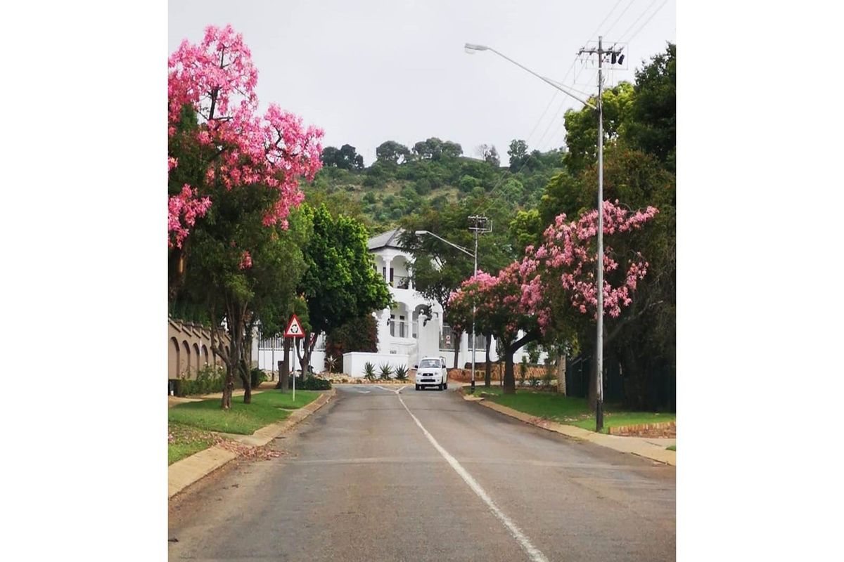 Upmarket 8 Bedroom Rental Apartment Block in Secure Prime Spot, Groenkloof - Photo 4