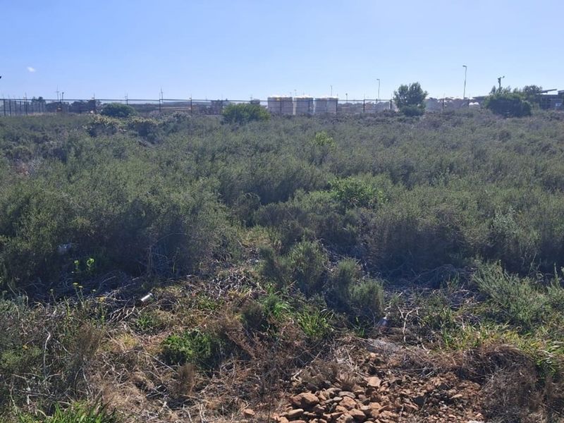 Prime Commercial Spot in Fountains Estate - Photo 10