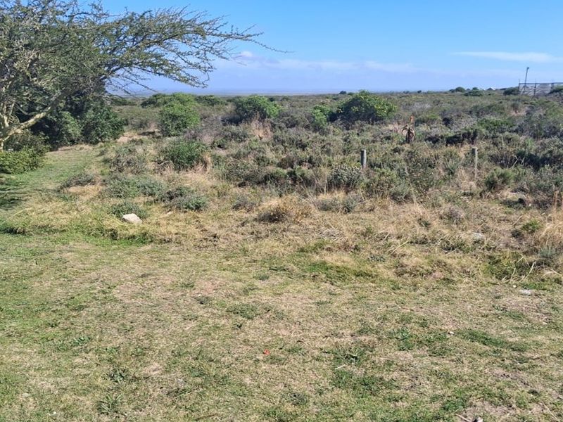 Prime Commercial Spot in Fountains Estate - Photo 7