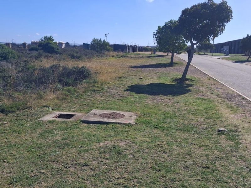 Prime Commercial Spot in Fountains Estate - Photo 5