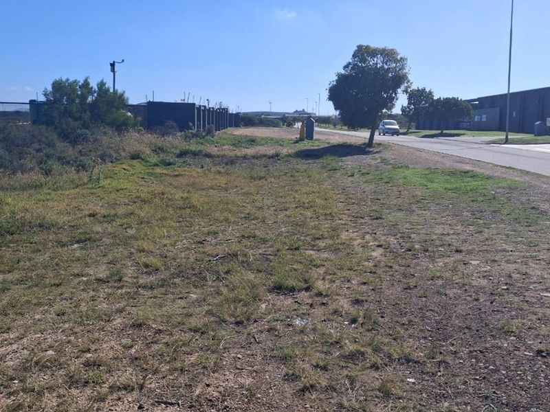 Prime Commercial Spot in Fountains Estate - Photo 4