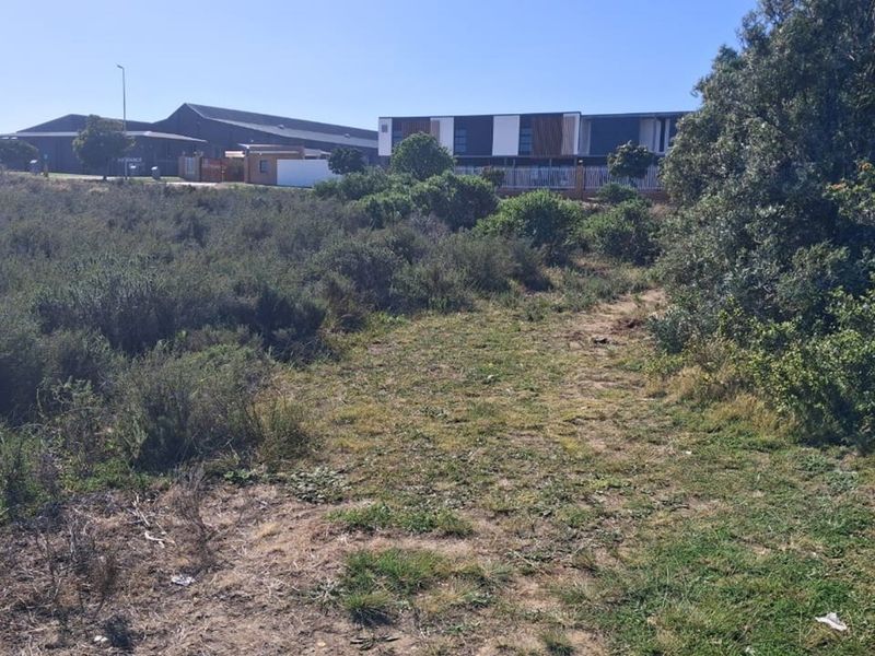 Prime Commercial Spot in Fountains Estate - Photo 8