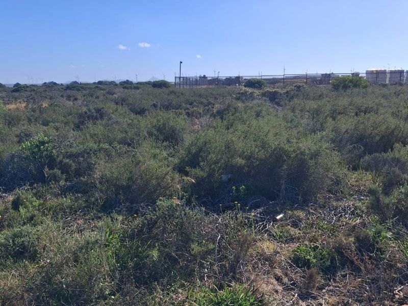 Prime Commercial Spot in Fountains Estate - Photo 9