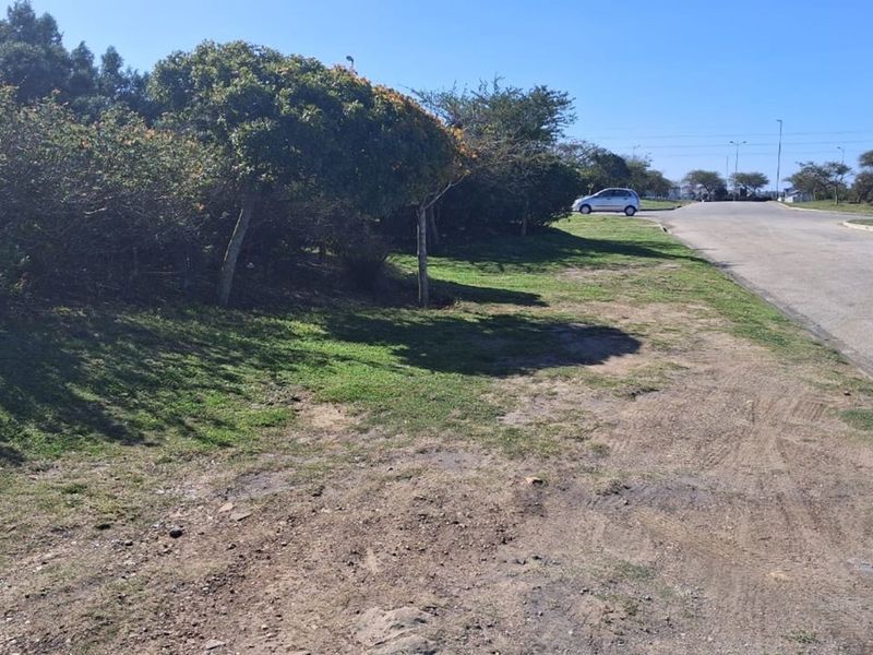 Prime Commercial Spot in Fountains Estate - Photo 6