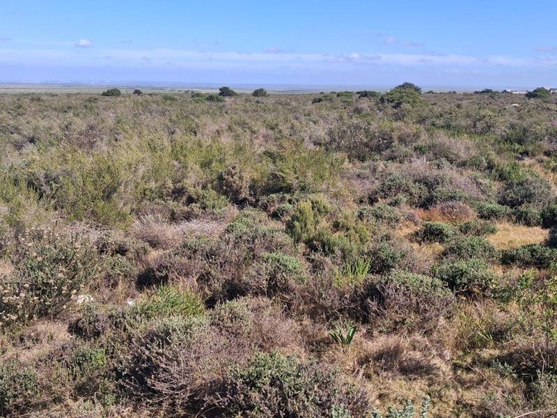 Prime Commercial Stand - Fountains Estate Business Park - Photo 5