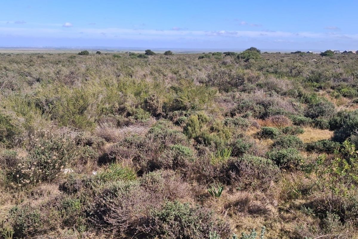 Prime Commercial Stand - Fountains Estate Business Park - Photo 5