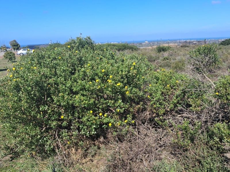 Prime Commercial Stand - Fountains Estate Business Park - Photo 8