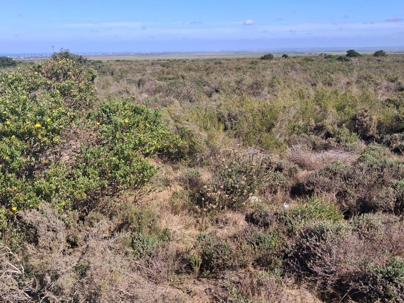 Prime Commercial Stand - Fountains Estate Business Park - Photo 7