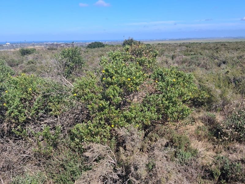 Prime Commercial Stand - Fountains Estate Business Park - Photo 6