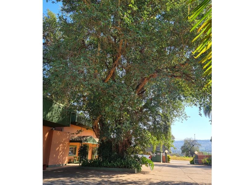 "Prime Guesthouse Investment in Thohoyandou" - Photo 2