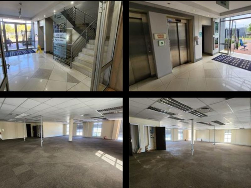 Spacious open-plan office area featuring carpeted flooring, suspended ceiling grid, and large windows providing natural light, complemented by a professional building lobby entrance.