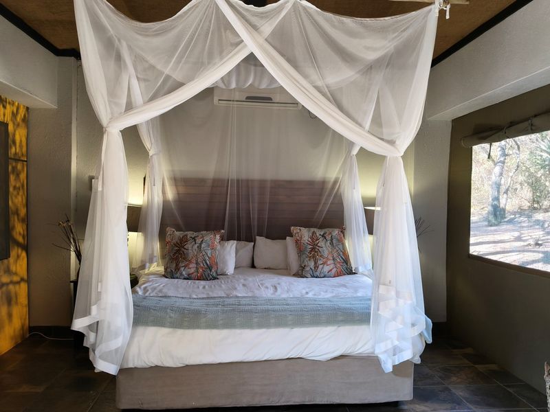 930-Hectare Private Game Farm for Sale - Lowveld Bushveld Retreat Near Kruger - Photo 3