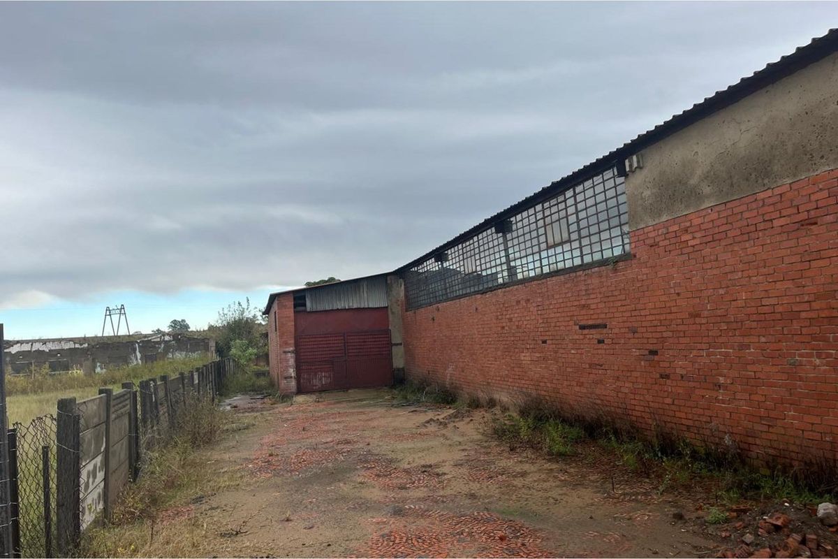 Industrial Warehouse / Workshop for Sale - Prime Dundee Location (NO TRANSFER DUTY) - Photo 4