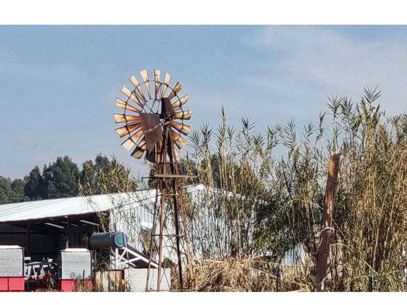 "Prime Benoni AH Factory Complex for Sale" - Photo 7