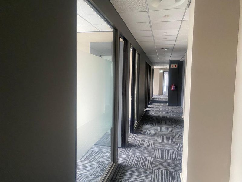 A clean, modern office hallway featuring carpet tiles, suspended ceilings, and glass-partitioned office entrances.