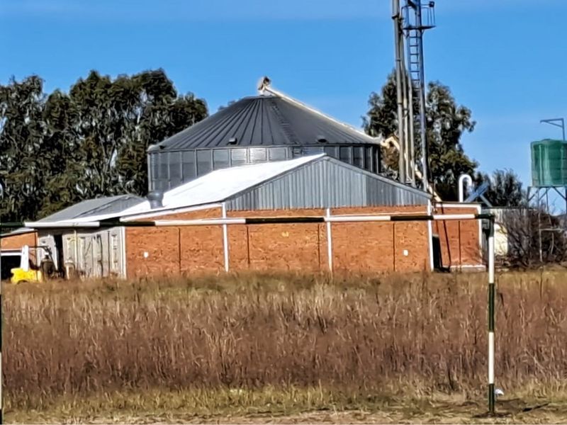 "Prime Sunflower Oil Factory: Invest Today!" - Photo 7