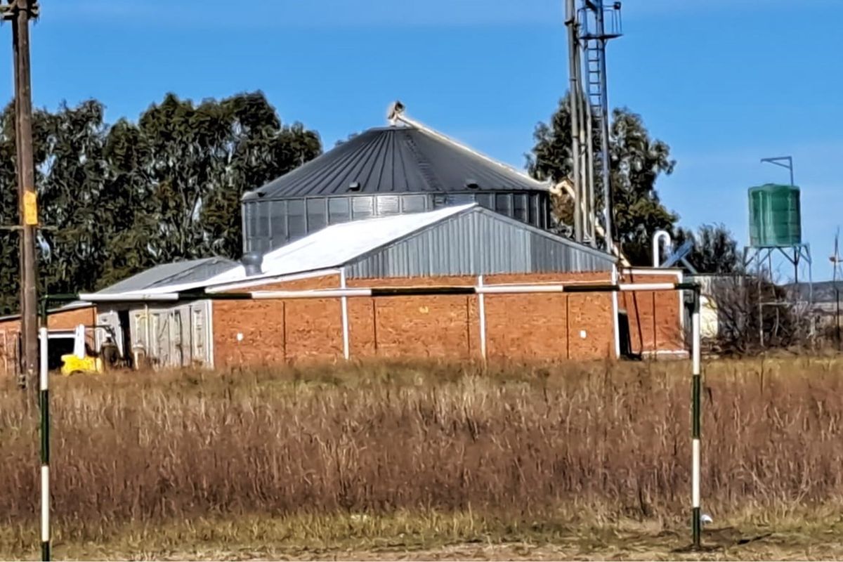 "Prime Sunflower Oil Factory: Invest Today!" - Photo 5