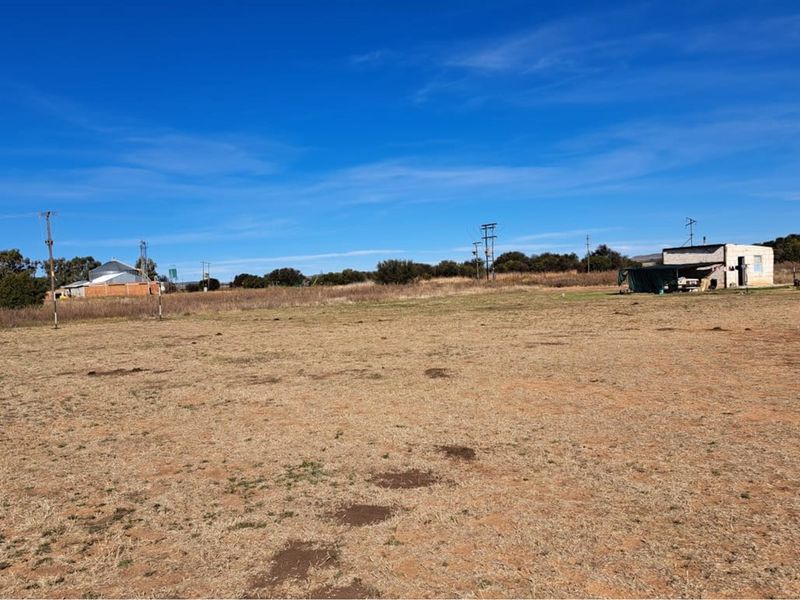 "Prime Sunflower Oil Factory: Invest Today!" - Photo 9