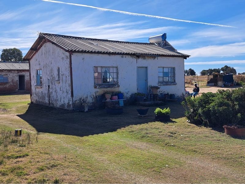 "Prime Sunflower Oil Factory: Invest Today!" - Photo 4