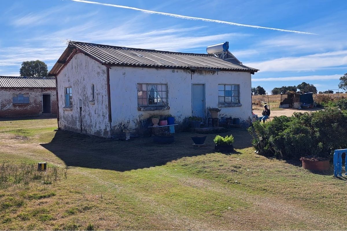 "Prime Sunflower Oil Factory: Invest Today!" - Photo 4