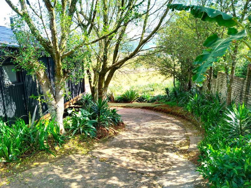 GUESTHOUSE FOR SALE IN GRASKOP - Photo 5