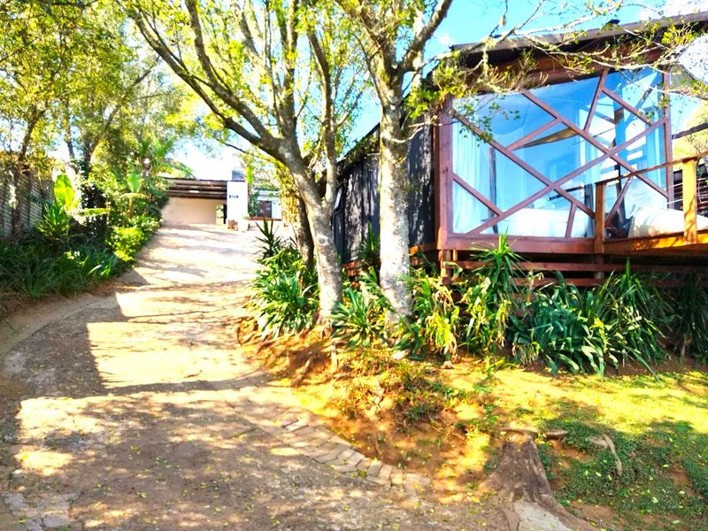 GUESTHOUSE FOR SALE IN GRASKOP - Photo 3