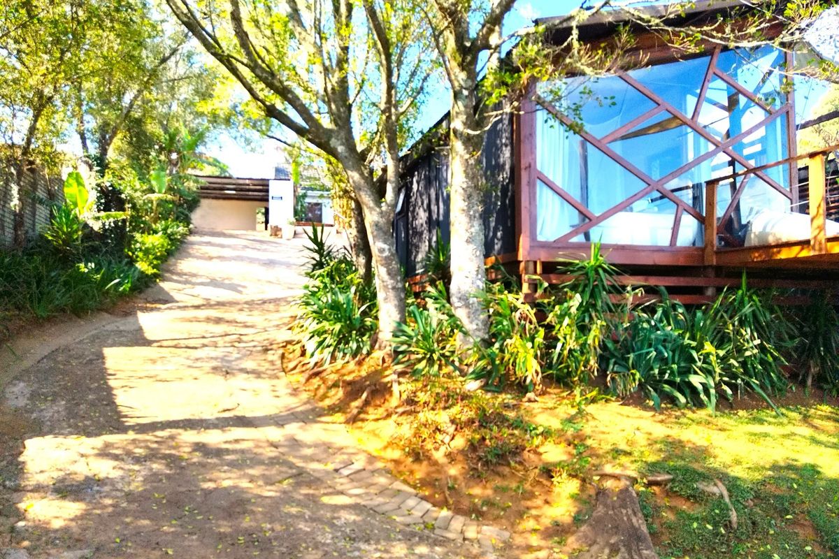 GUESTHOUSE FOR SALE IN GRASKOP - Photo 3
