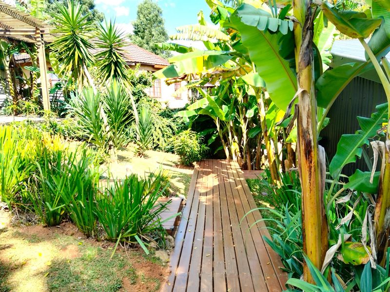 GUESTHOUSE FOR SALE IN GRASKOP - Photo 6