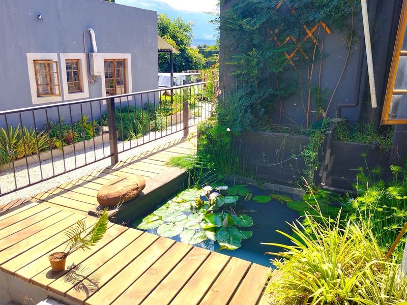 A tranquil outdoor courtyard featuring a wooden deck, a built-in water feature with water lilies, and metal safety railings between building structures.