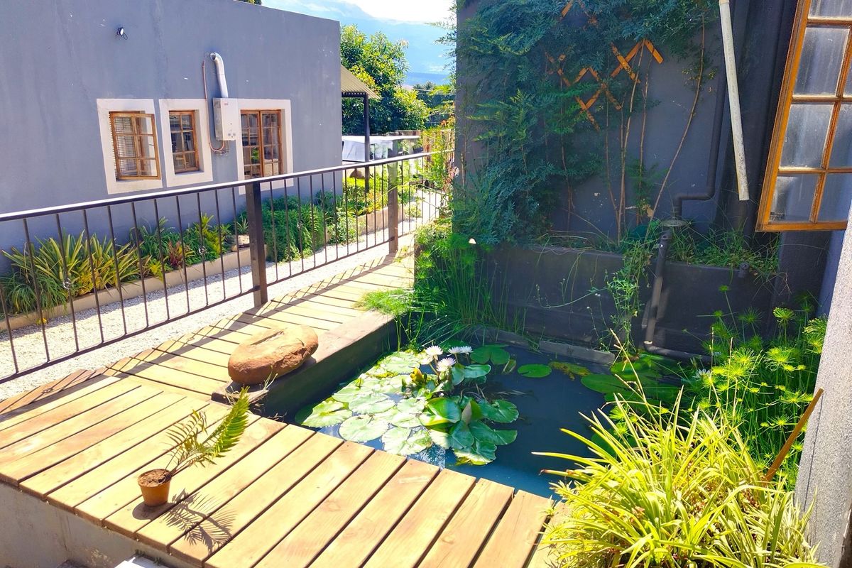 A tranquil outdoor courtyard featuring a wooden deck, a built-in water feature with water lilies, and metal safety railings between building structures.