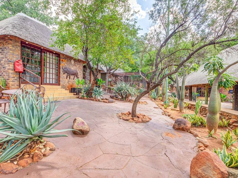 Investor’s Dream: 226Ha Lodge, Game Farming Estate - Luxury Infrastructure and High ROI Potential - Photo 2