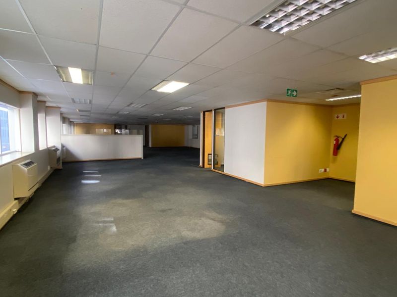 An expansive, empty open-plan office space featuring a suspended ceiling, recessed lighting, and worn carpeting, suitable for flexible workspace configuration.