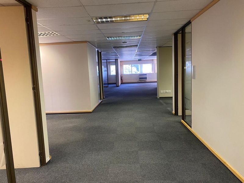 An open-plan office space featuring suspended ceilings, recessed lighting, carpeted flooring, and glass partitions, offering a versatile layout for professional use.