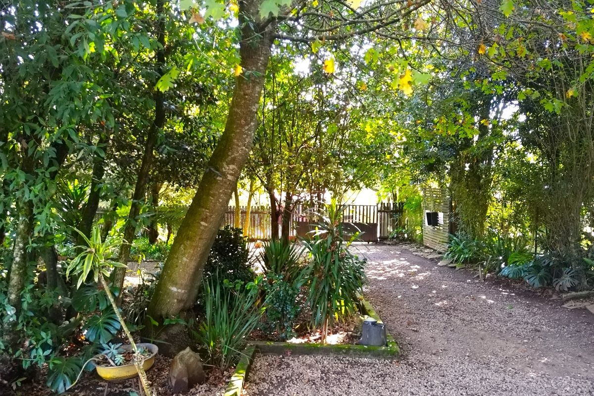 GUESTHOUSE FOR SALE IN GRASKOP - Photo 3
