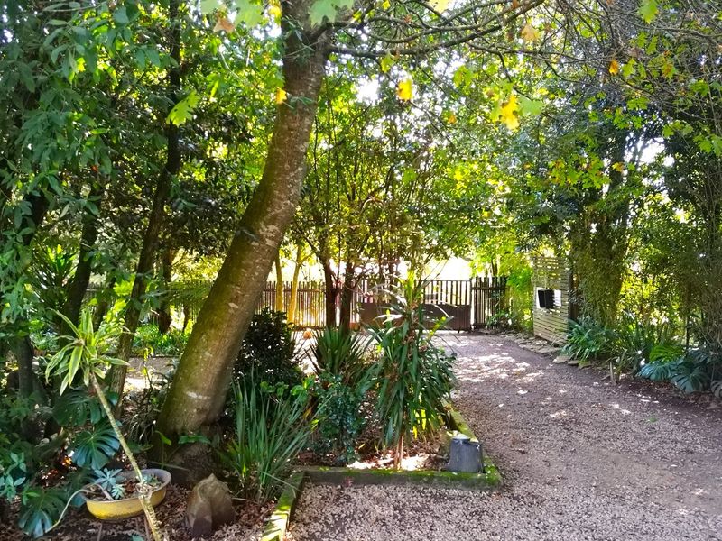 A lush, tree-lined garden pathway featuring a gravel driveway leading towards a wooden gate entrance on the property grounds.