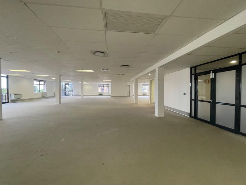 A spacious, open-plan office area featuring a suspended ceiling, recessed lighting, and aluminum-framed glass partitions, offering a versatile workspace ready for customization.