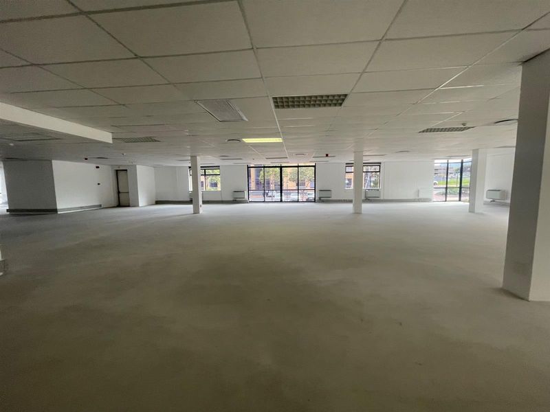 A spacious, open-plan office area featuring a suspended ceiling, recessed lighting, and large windows providing ample natural light.