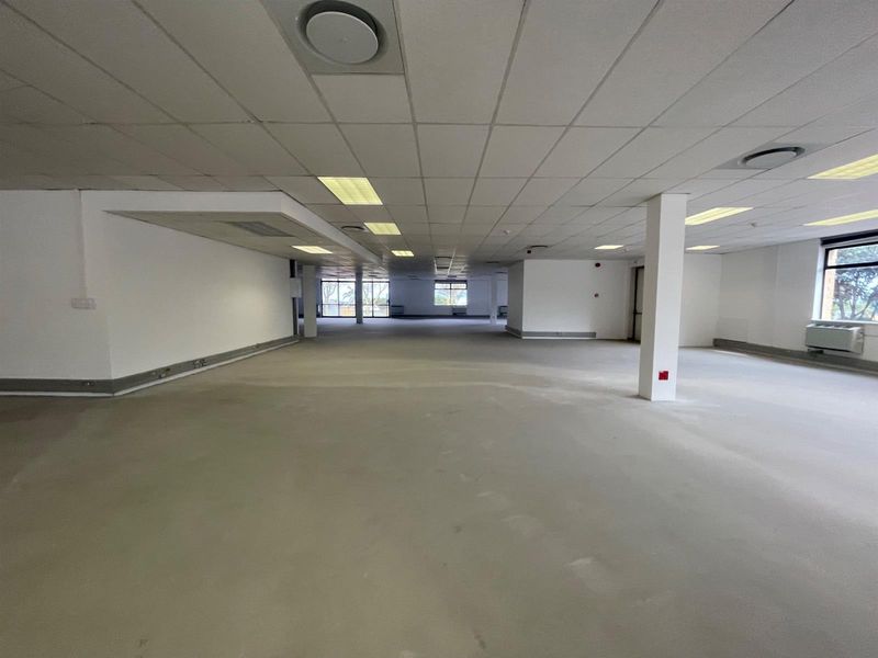 A spacious, open-plan office area featuring a suspended ceiling, recessed lighting, and structural columns, providing a versatile blank canvas for professional workspace configuration.